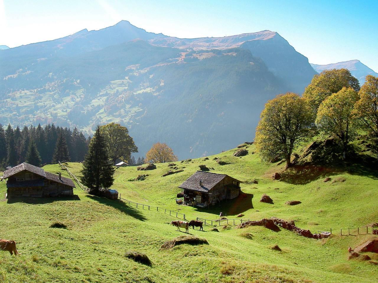 Vakantieappartement in Grindelwald, Zwitserland voor 2 personen foto 13