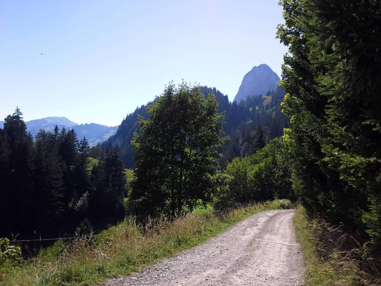 Vakantieappartement in Boltigen, Zwitserland voor 10 personen foto 12