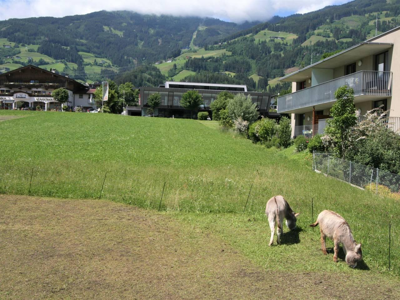 Christian in Tux Alps, Fügen, Oostenrijk voor 4 personen foto 22