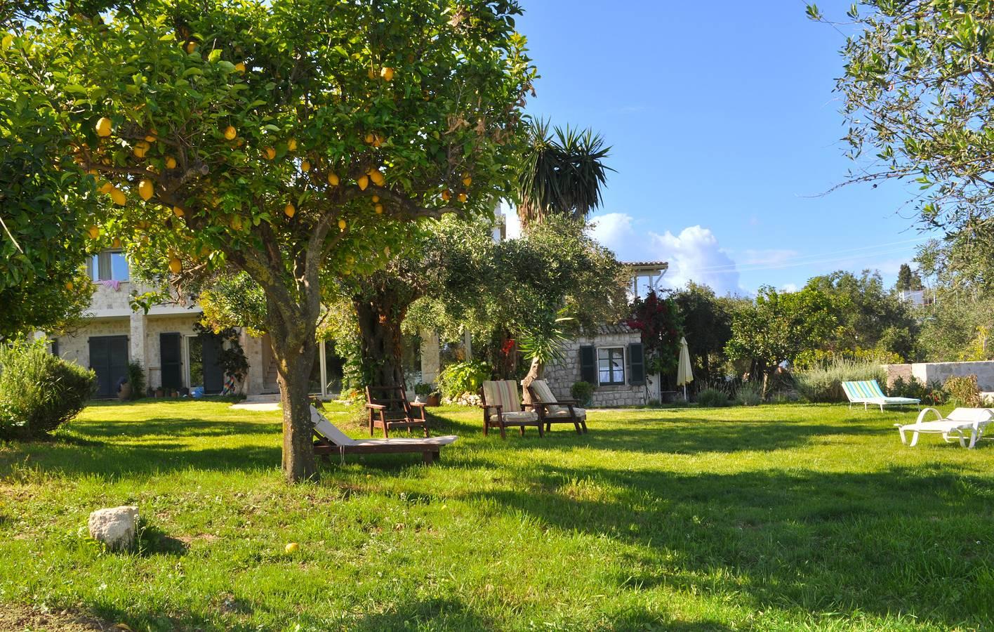 Vakantieappartement in Corfu, Griekenland voor 4 personen foto 17