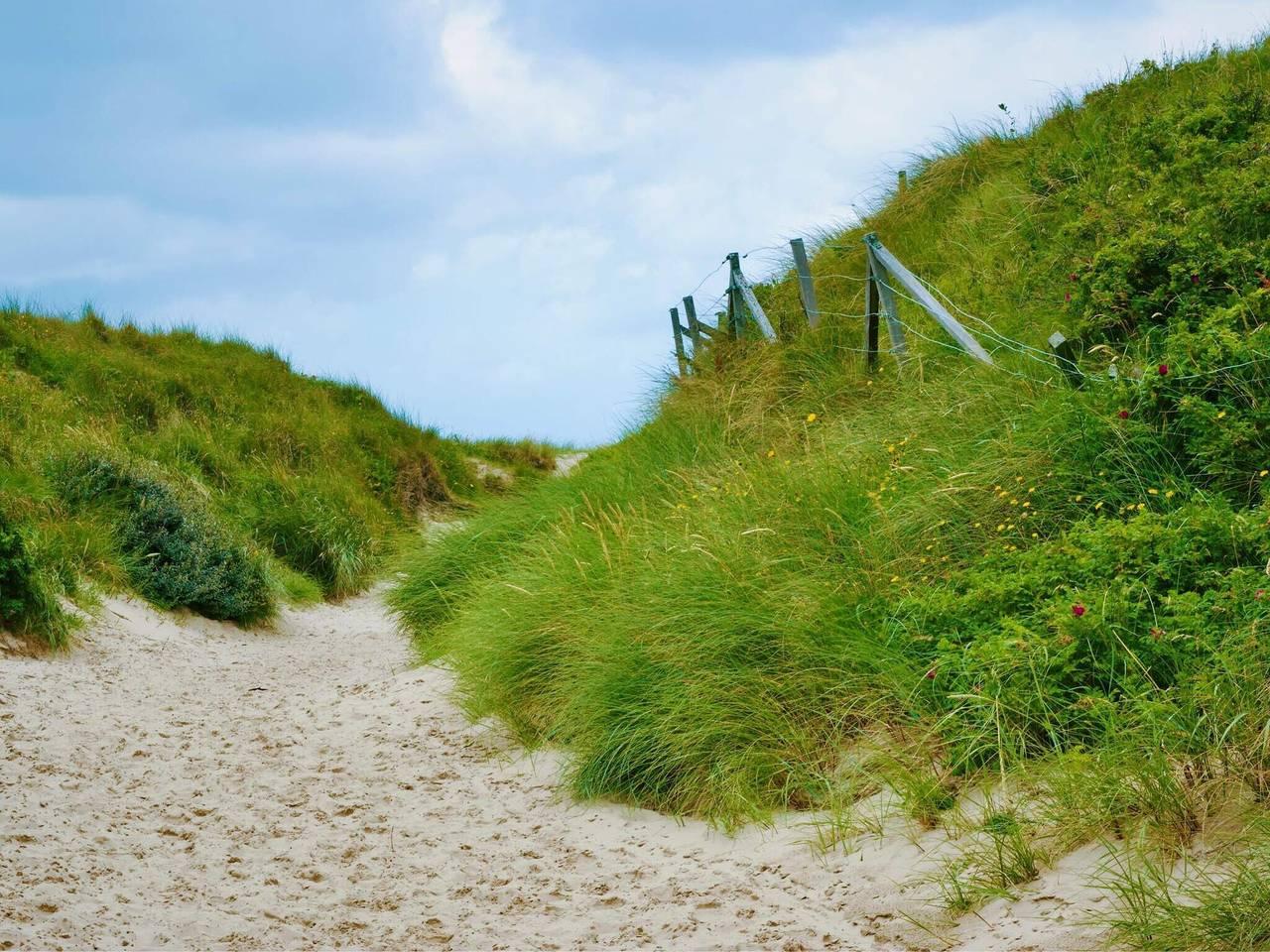 Vakantiehuis in Blåvand, Denemarken voor 8 personen foto 2