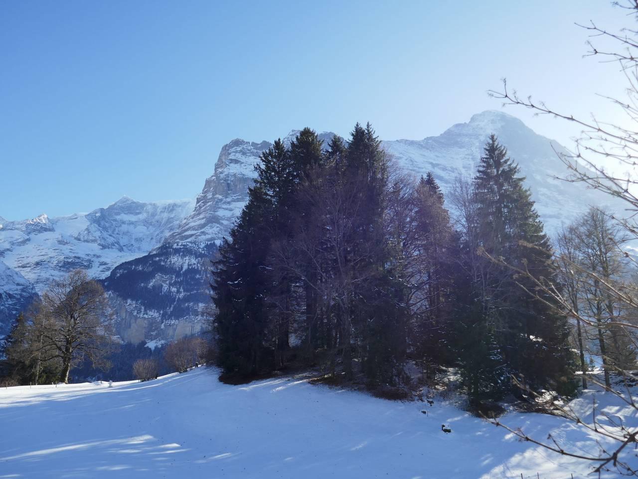 Chalet Blaugletscher in Schwendi b. Grindelwald, Grindelwald, Zwitserland voor 4 personen foto 18
