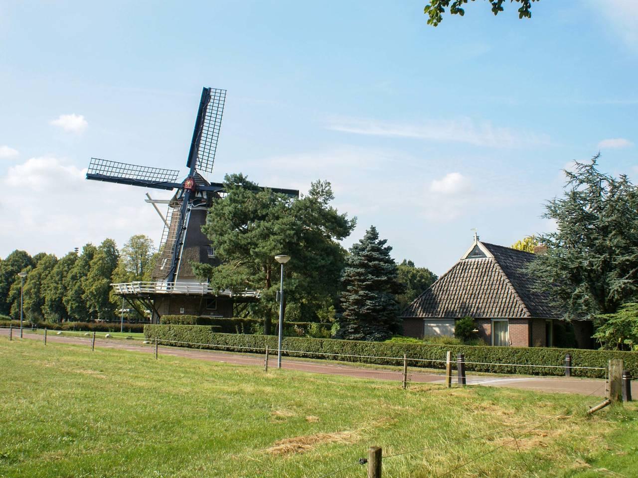 Vakantiehuis in Westerveld, Nederland voor 12 personen foto 11