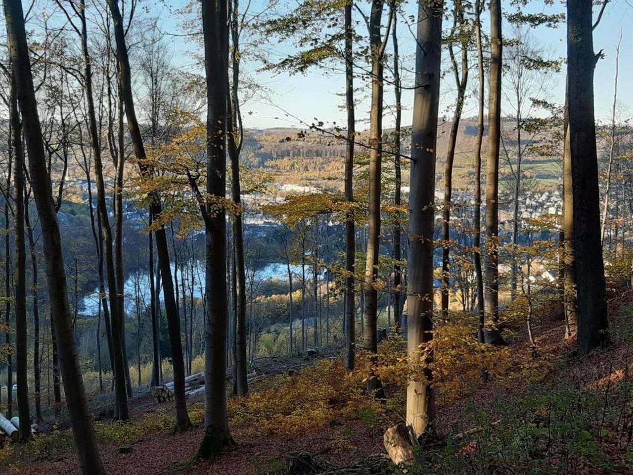 Thuis in het Rothaargebergte in Olsberg, Hochsauerlandkreis, Duitsland voor 10 personen foto 19