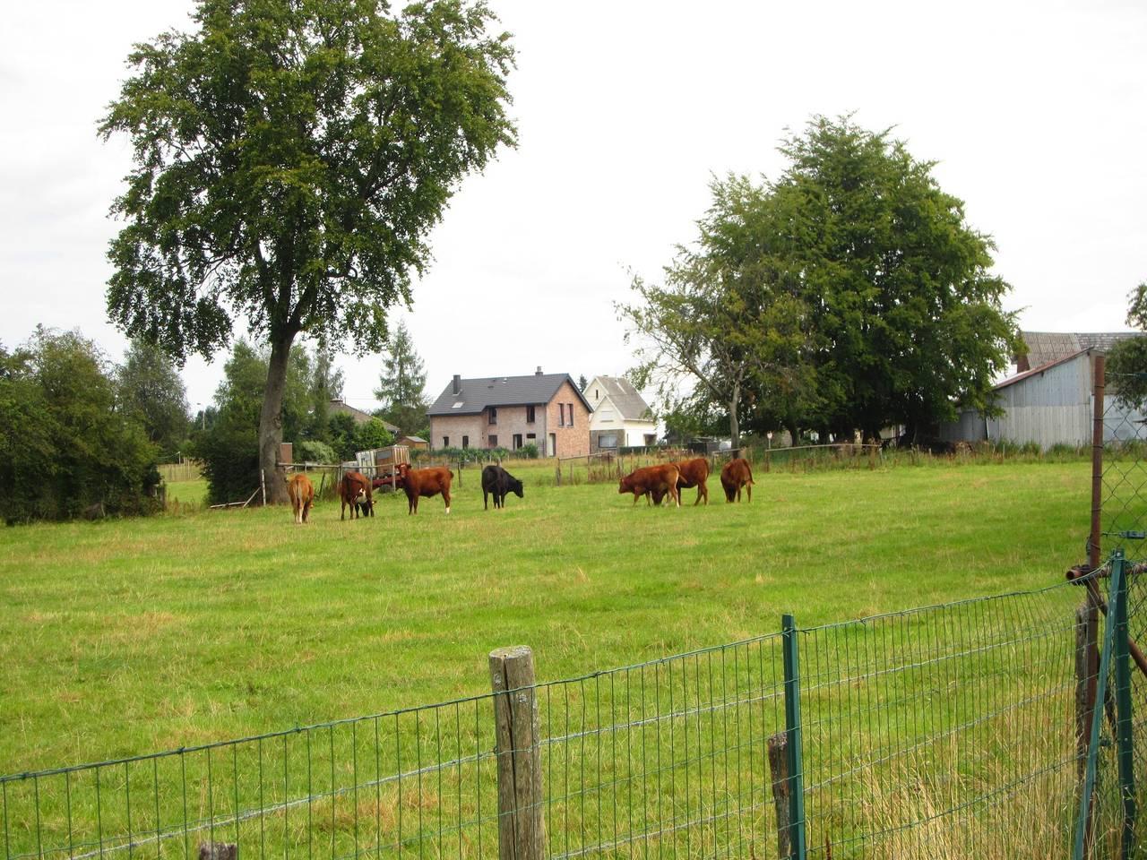 Vakantiehuis in Weismes, België voor 26 personen foto 16