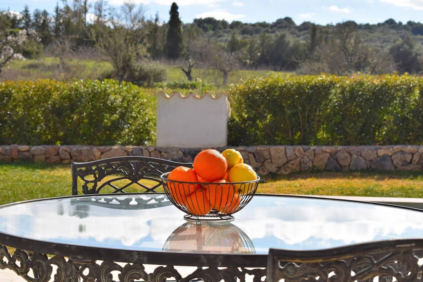 Vakantiehuis in Sineu foto 8
