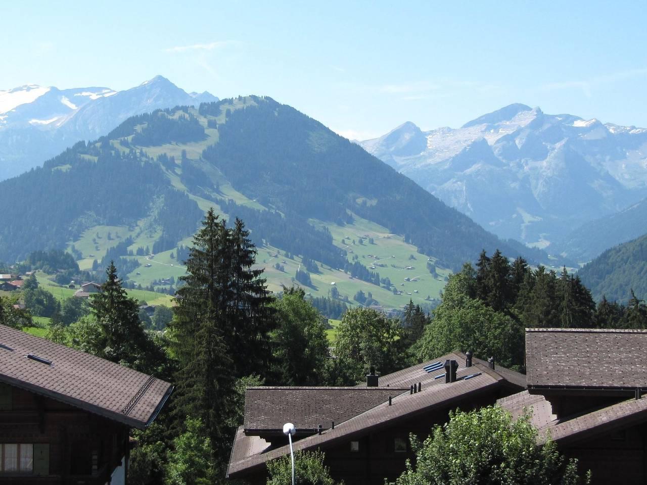 Vakantieappartement in Saanen, Zwitserland voor 4 personen foto 2