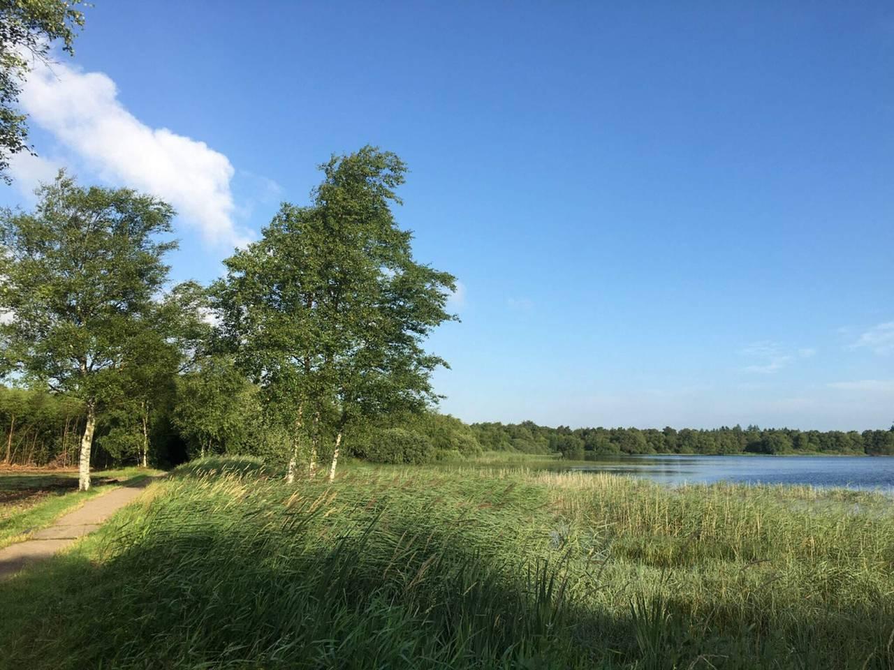 Vakantiehuis in Zuid-Jutland, Denemarken voor 8 personen foto 10