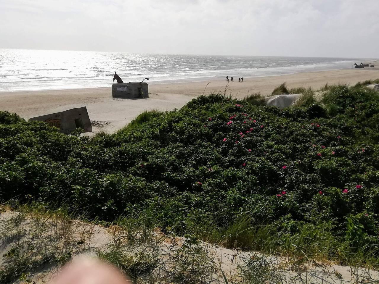 Vakantiehuis in Blåvand, Denemarken voor 8 personen foto 9