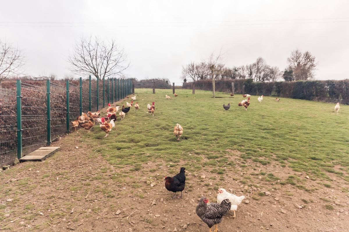 Gîtes de France® - Gîte de la Source in Marques, Frankrijk voor 6 personen foto 21