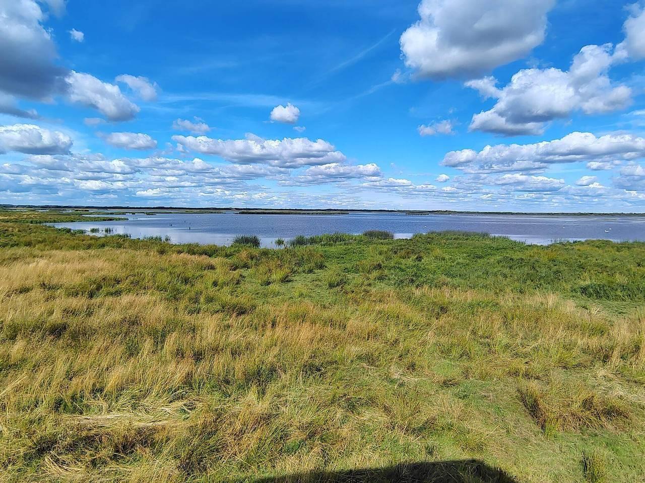 Vakantiehuis in Tarm, Denemarken voor 6 personen foto 5