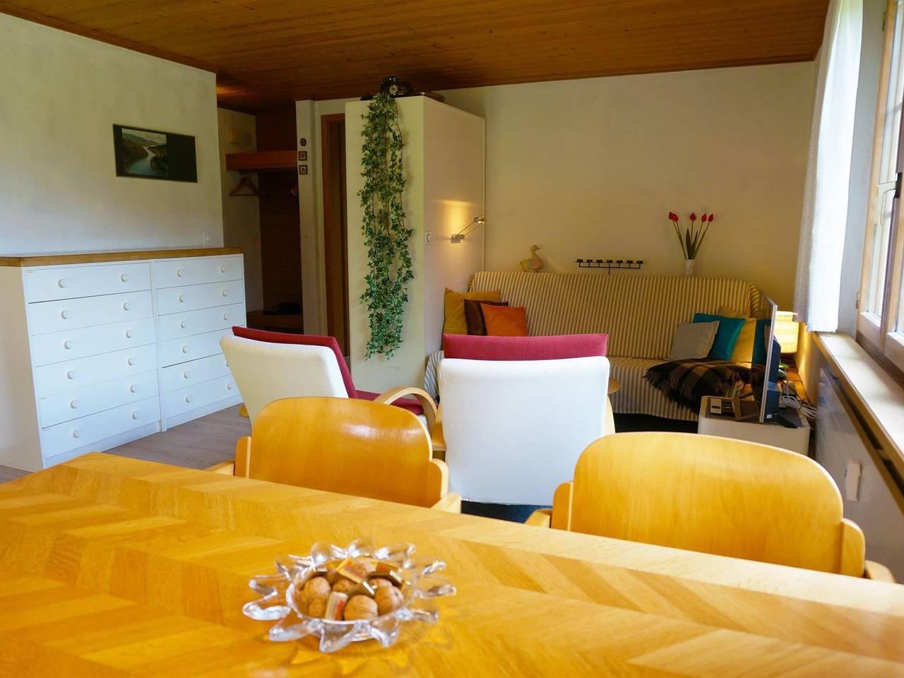 Vakantieappartement in Saanen, Zwitserland voor 6 personen foto 10