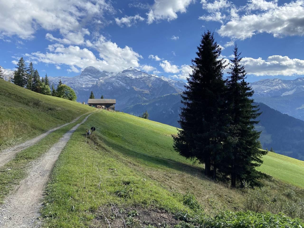 Vakantieappartement in Lenk, Zwitserland voor 3 personen foto 8