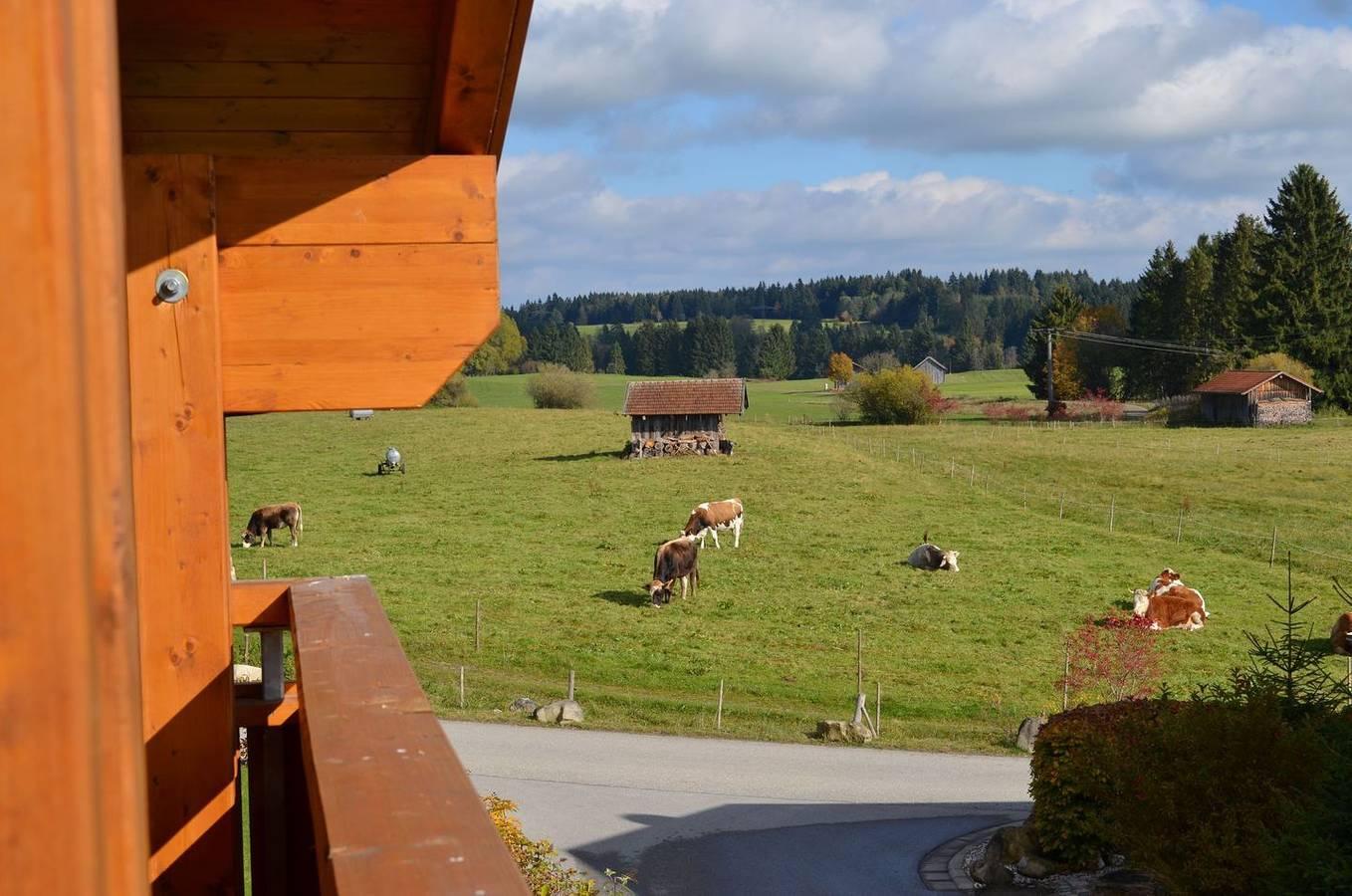 Vakantiehuis in Allgäu, Duitsland voor 5 personen foto 12