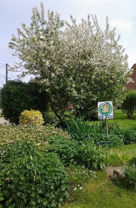Gîtes de France® - Le Four à Pain de la Pierre in Saint-Maclou-de-Folleville, Frankrijk voor 4 personen foto 21