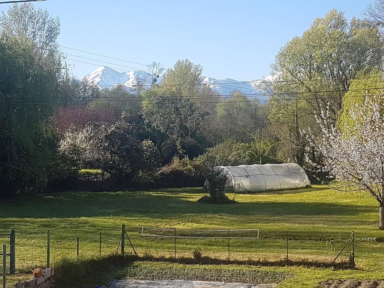 Le Moulin de la Gaou in Momères, Hautes-Pyreneeën, Frankrijk voor 4 personen foto 22