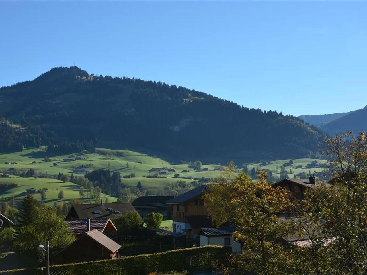 Hornflue (Baumann) in Saanenmöser, Saanen, Zwitserland voor 4 personen foto 10