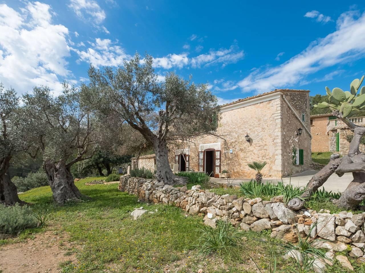 Vakantiehuis in Andratx, Spanje voor 4 personen foto 4