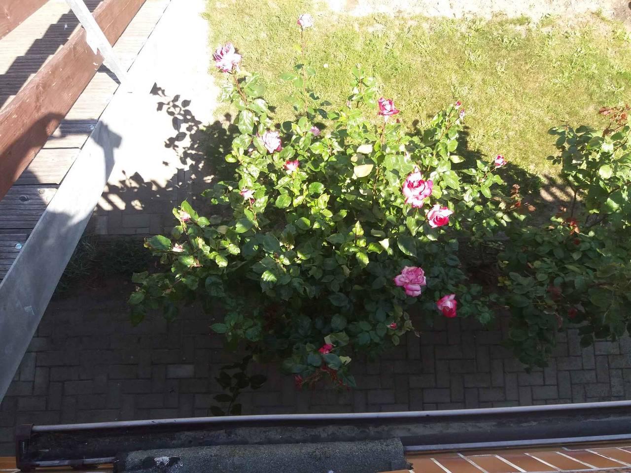 Vakantieappartement in Usedom, Duitsland voor 2 personen foto 4