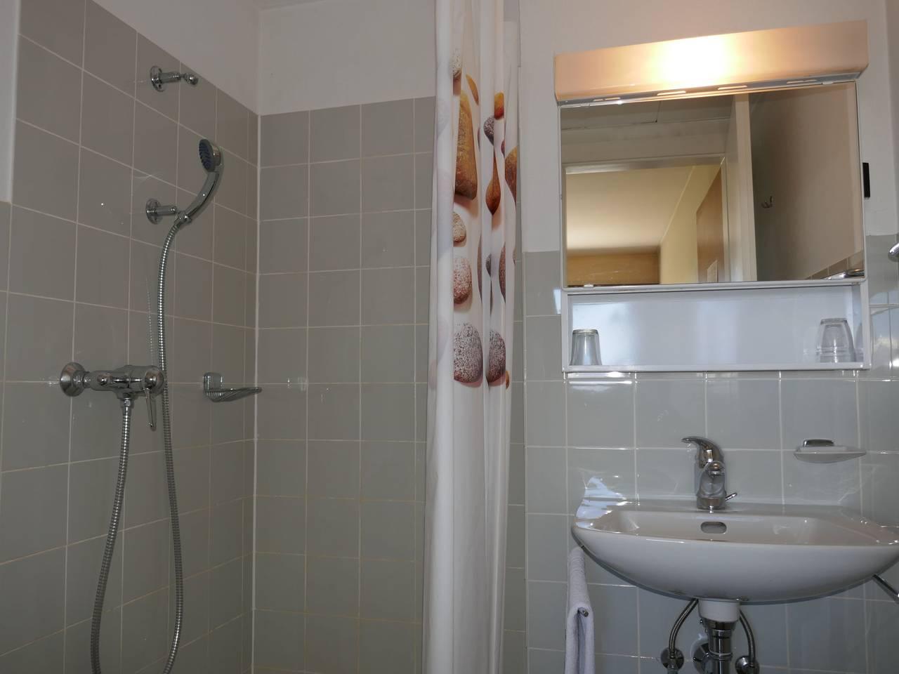 Rosablanche met 1 slaapkamer en sauna in Sornard (Nendaz), Nendaz, Zwitserland voor 4 personen foto 11