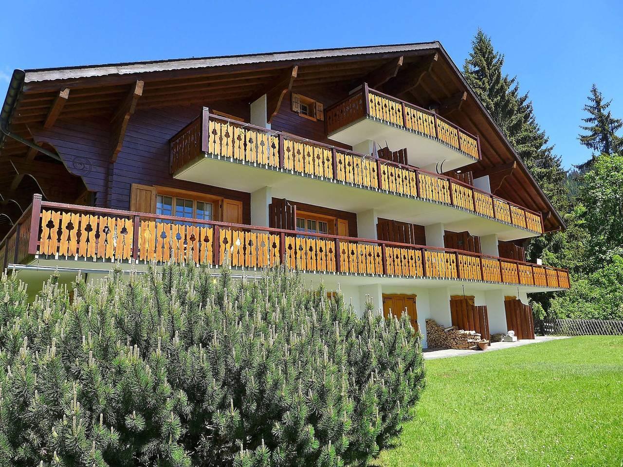 Vakantieappartement in Alpes Vaudoises, Zwitserland voor 4 personen