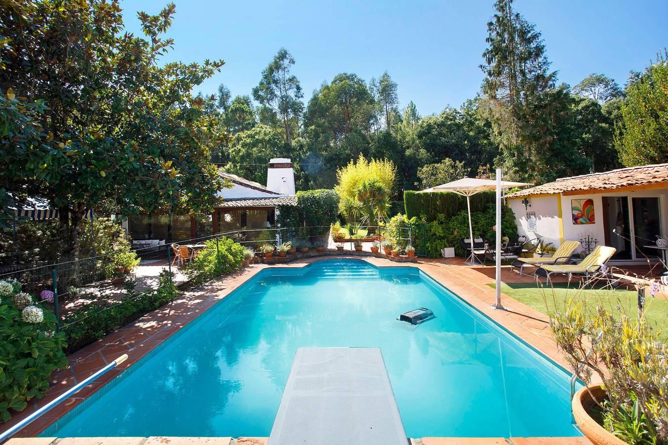 Vakantiehuis in Santarém District, Portugal voor 3 personen foto 2
