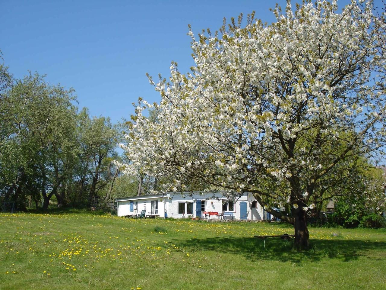 Vakantiehuis in Rügen, Duitsland voor 6 personen foto 5