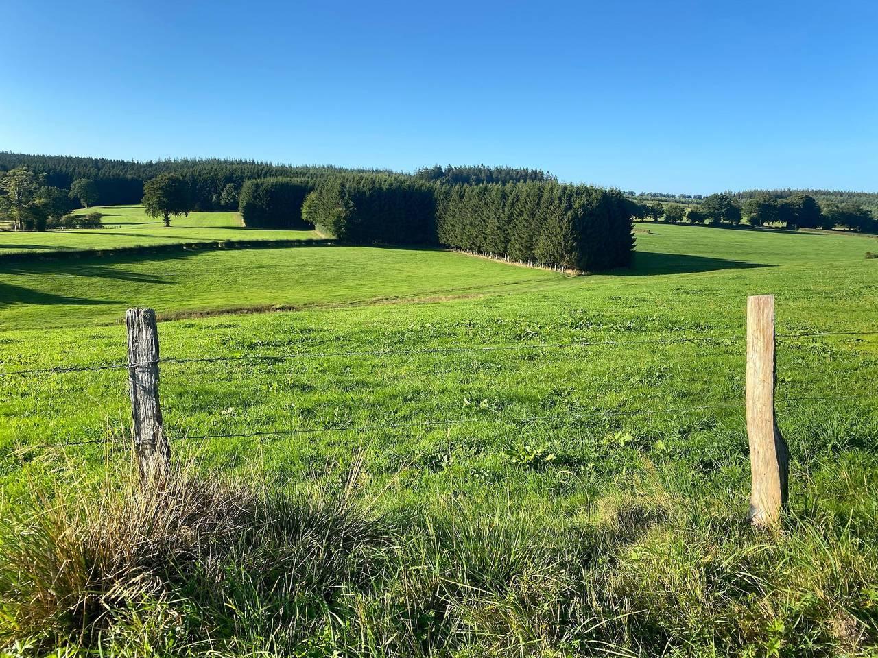 Appartement nabij bos in Nidrum in Bütgenbach, Natuurgebied Hautes Fagnes, België voor 5 personen foto 24