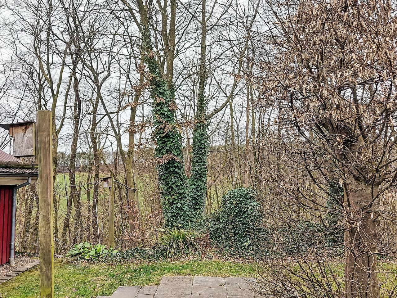 Vakantiehuis in Extertal, Duitsland voor 5 personen foto 10