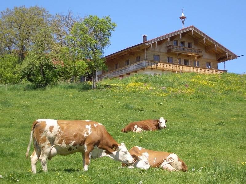 Vakantieappartement in Piding, Duitsland voor 4 personen foto 9