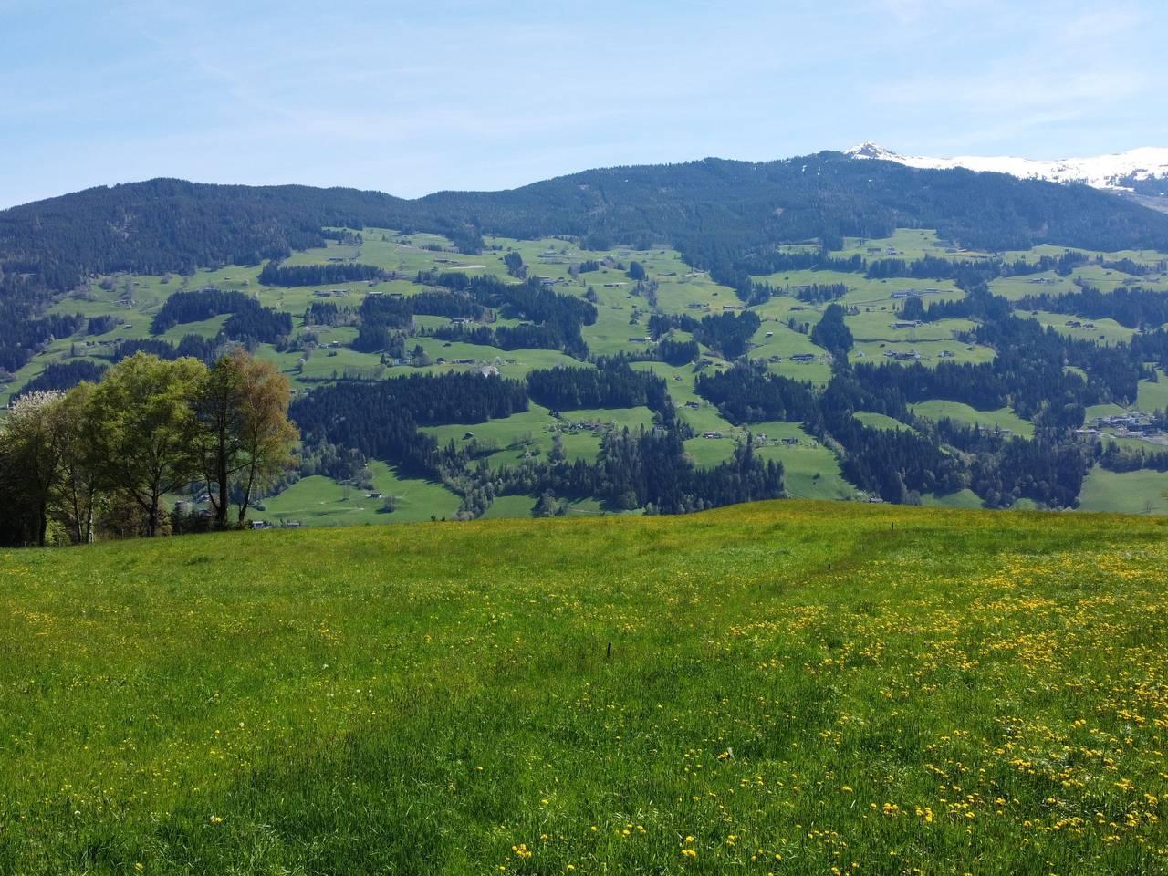 Vakantiehuis met hond toegestaan in Tux Alps, Fügenberg, Oostenrijk voor 14 personen foto 21