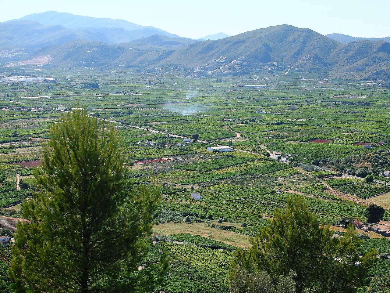 Vakantiehuis in Pego, Spanje voor 8 personen foto 14