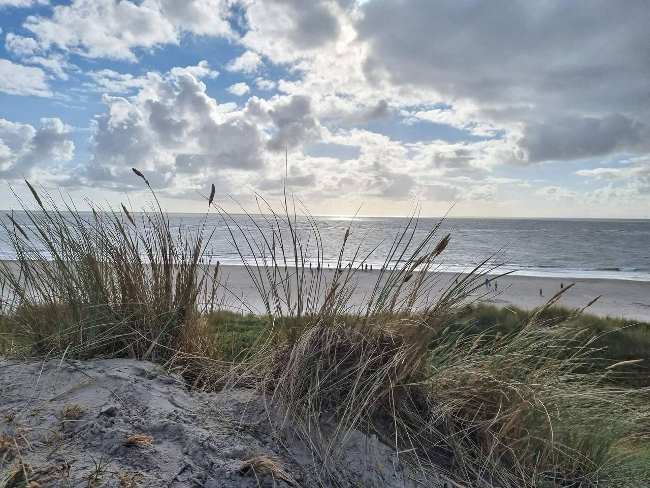 Vakantiehuis in Blåvand, Denemarken voor 8 personen foto 5