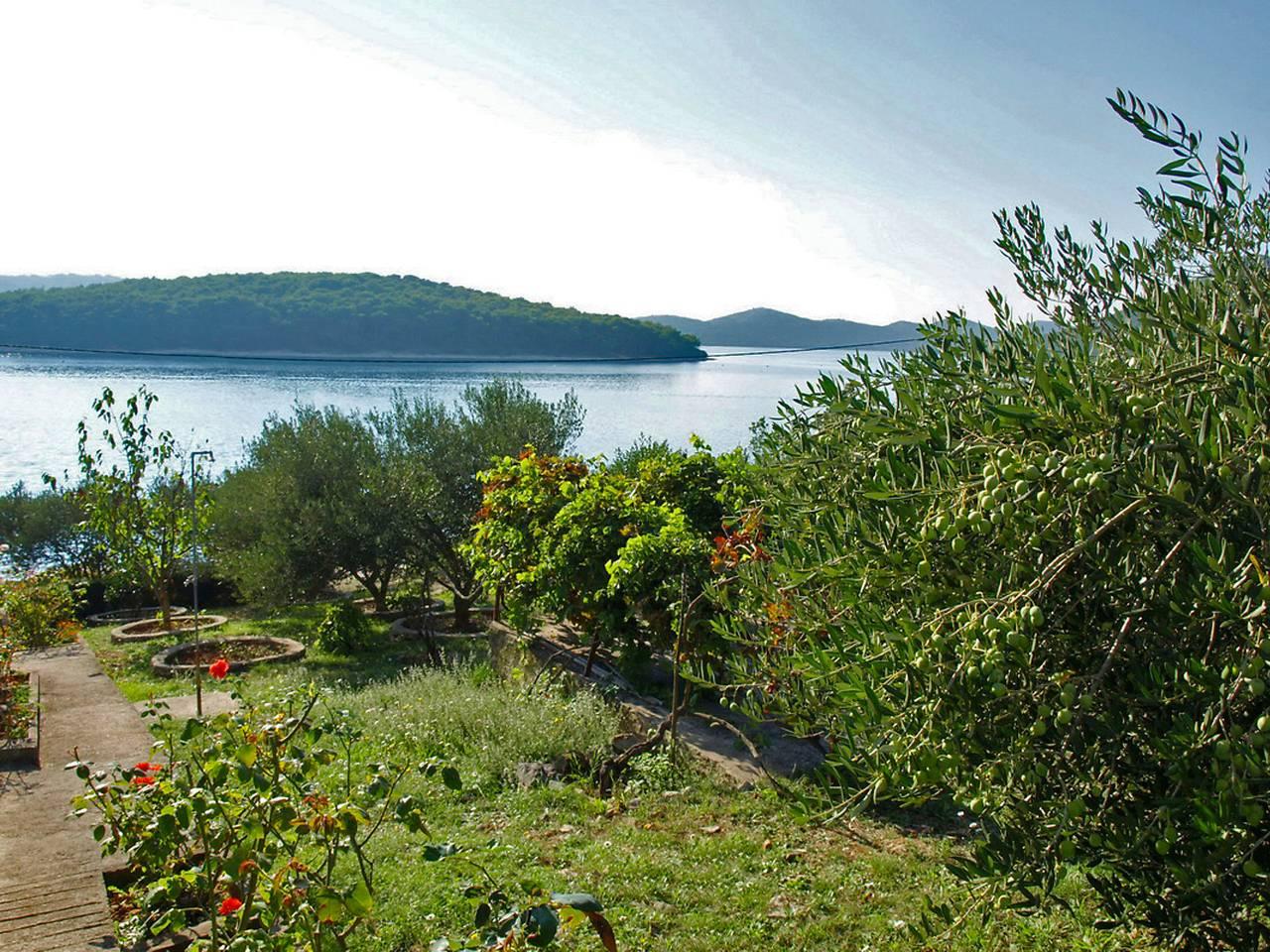 Vakantieappartement in Otok Molat, Kroatië voor 7 personen foto 5