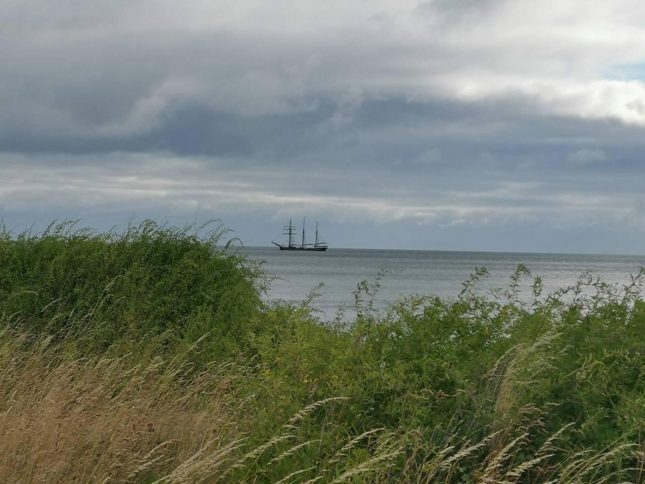 Vakantiehuis in Humble, Denemarken voor 8 personen foto 3