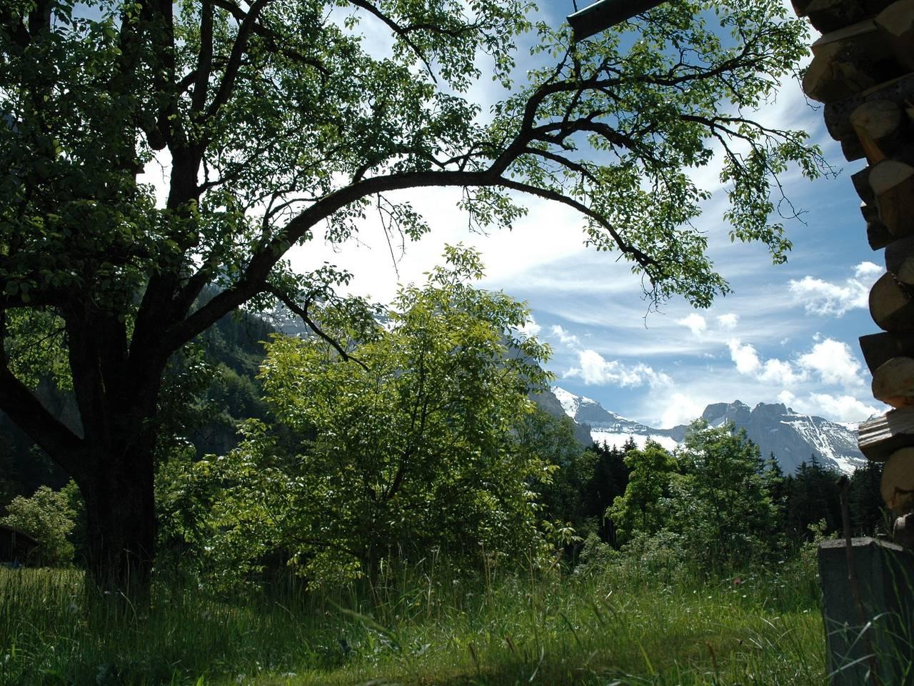 Vakantiehuis in Kandergrund, Zwitserland voor 2 personen foto 14