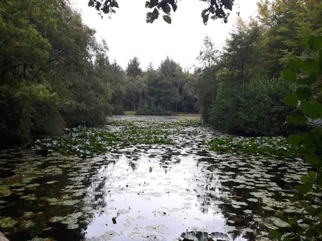 Vakantiehuis in Ålbæk, Denemarken voor 5 personen foto 11