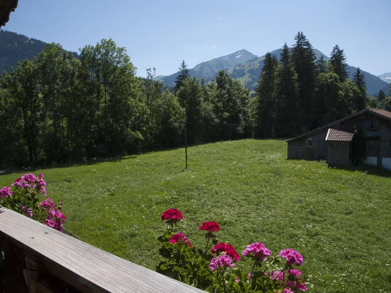 Vakantieappartement in Saanen, Zwitserland voor 2 personen foto 2