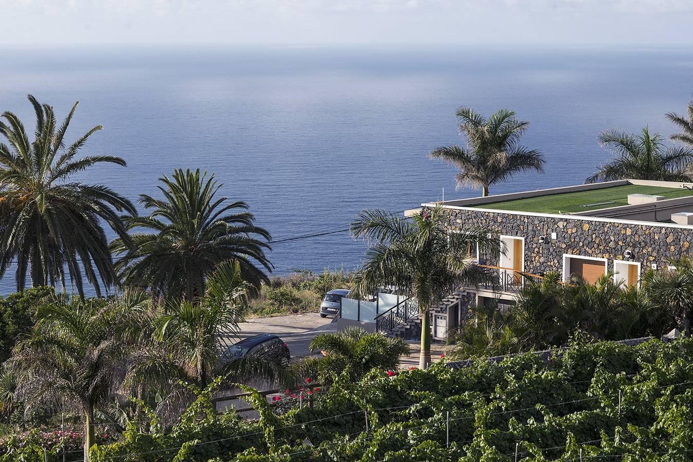 Apartamento Tenerife Norte vista mar in El Caletón, La Matanza de Acentejo, Spanje voor 3 personen foto 23