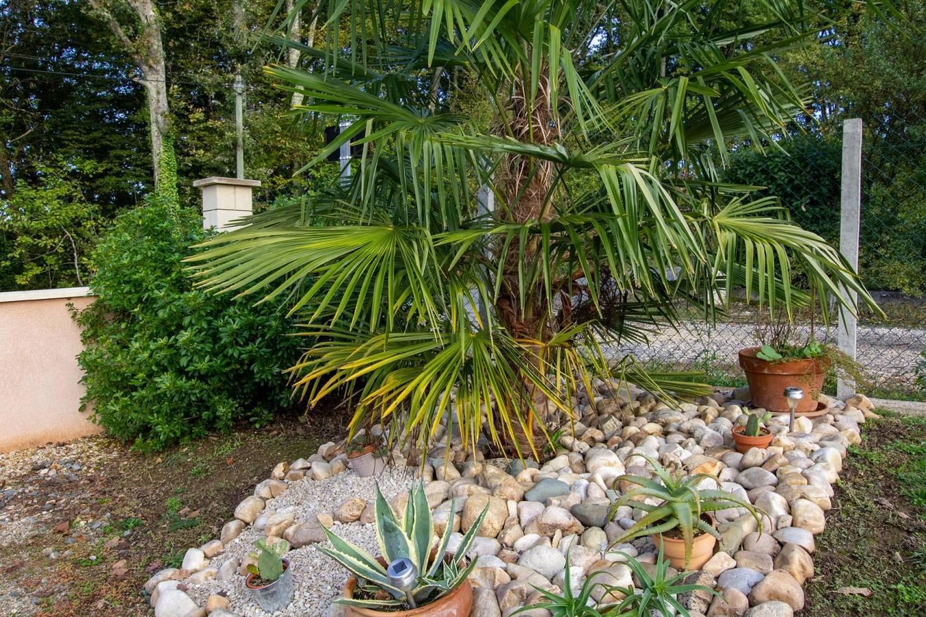 Vakantiehuis in Dordogne, Frankrijk voor 5 personen foto 18