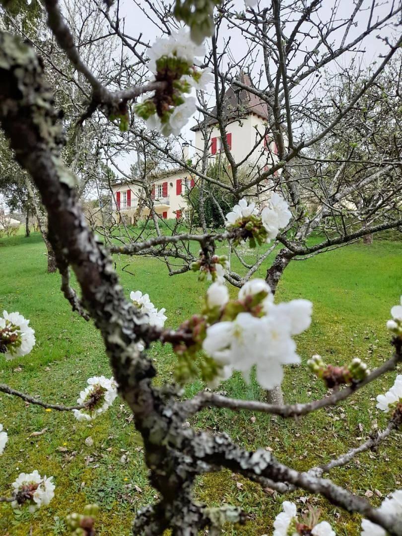 Le Petit Loriensa Bis pour 4 in Villamblard, Périgord Pourpre, Frankrijk voor 4 personen foto 22
