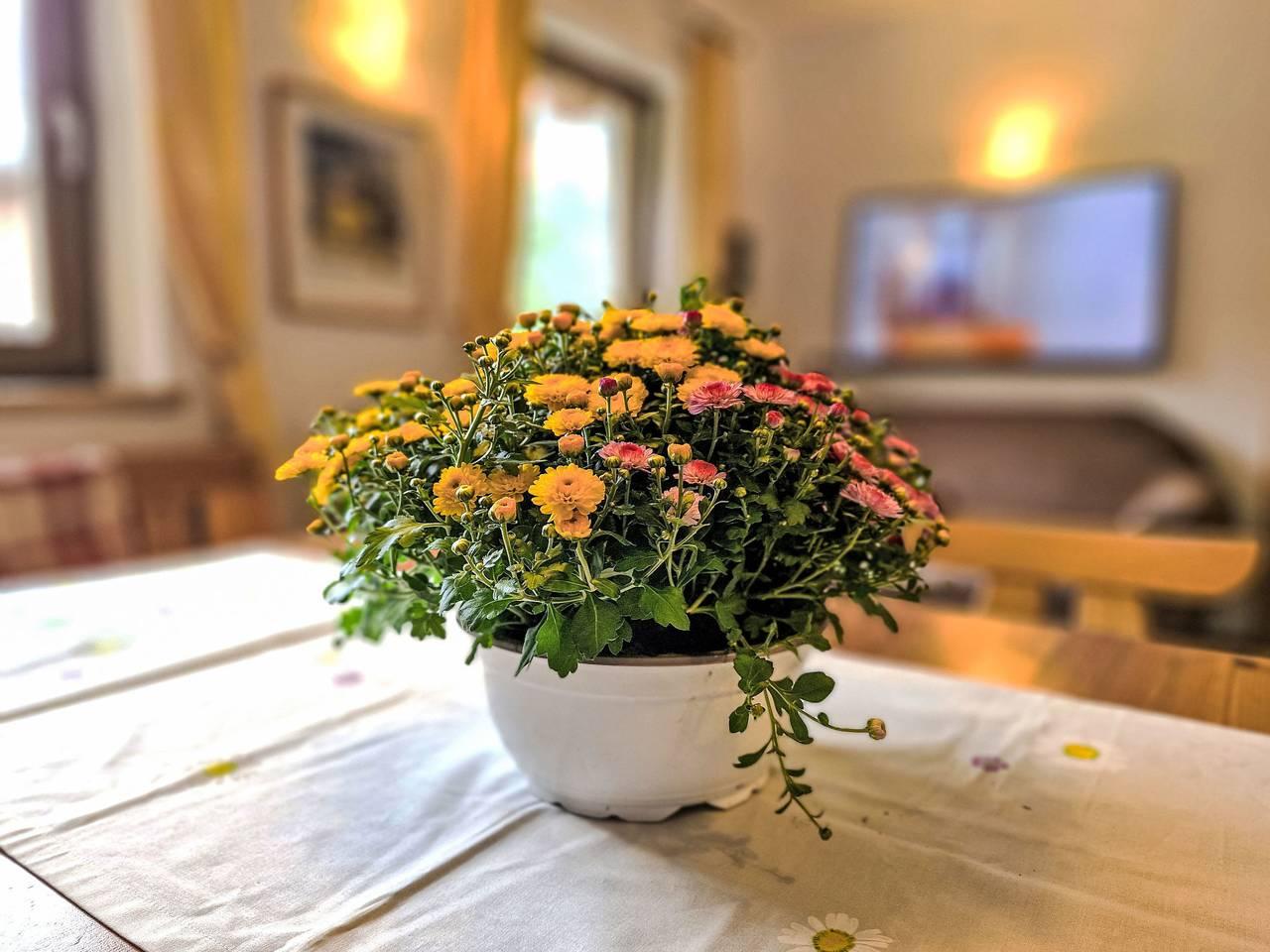 Vakantiehuis in Ötztal, Oostenrijk voor 7 personen foto 12