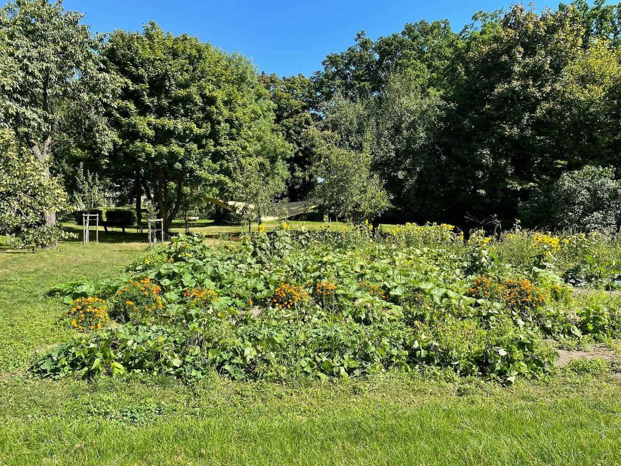 Gärtnerhaus in Falkenhain, Lossatal, Duitsland voor 4 personen foto 21