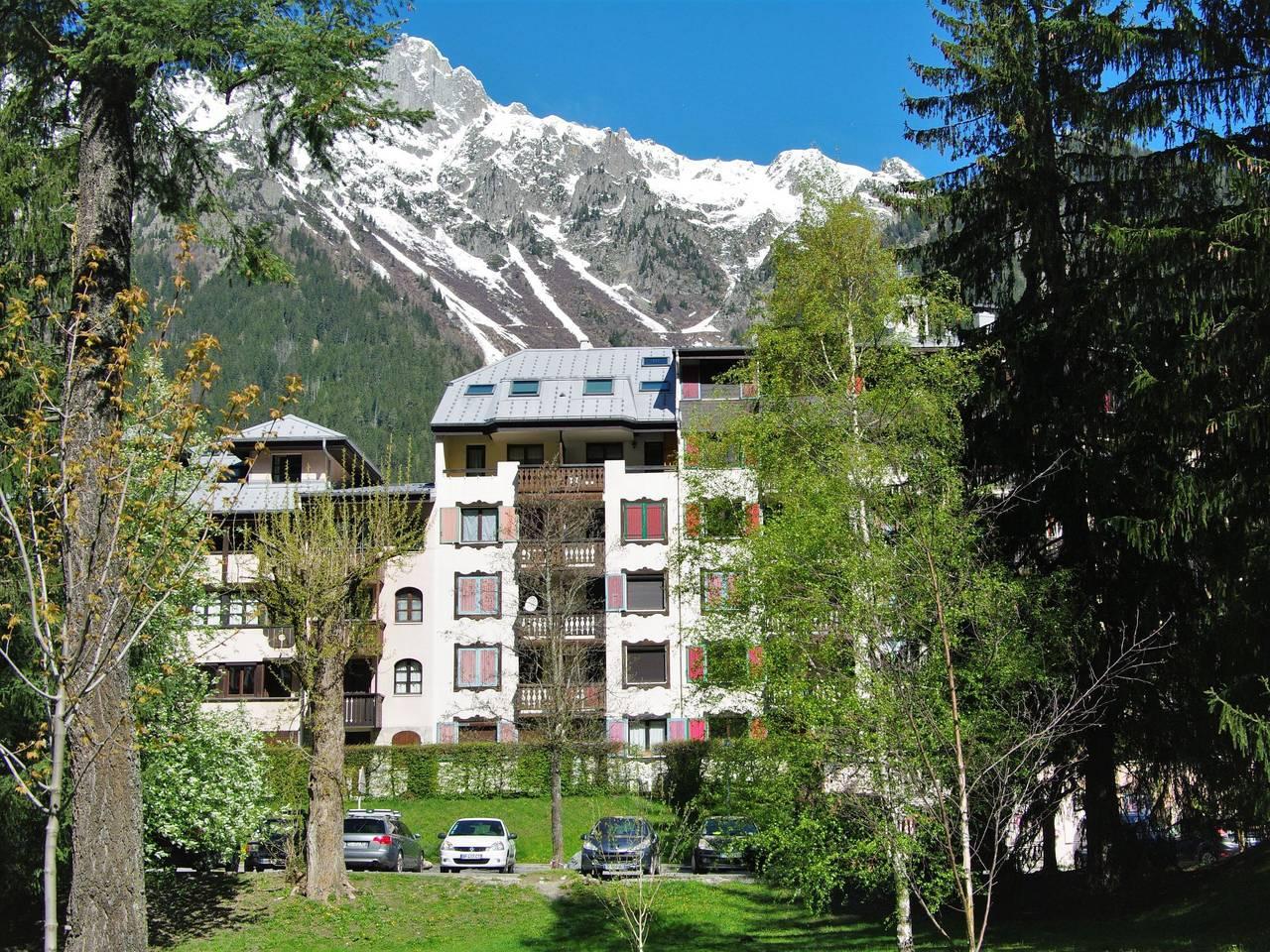 Jonquilles in Chamonix, Mont Blanc-massief, Frankrijk voor 4 personen foto 17