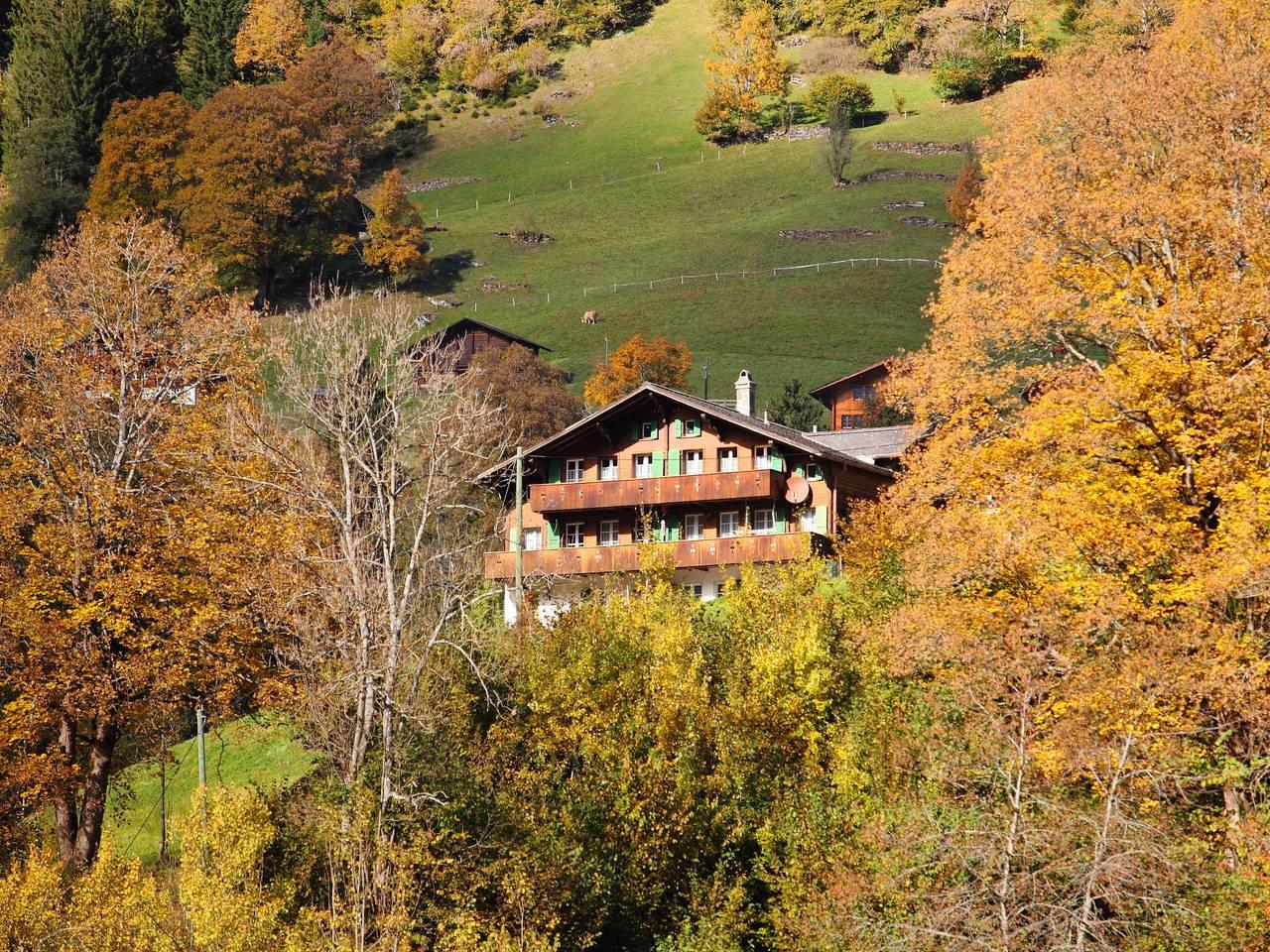 Chalet Auf dem Vogelstein in Schwendi b. Grindelwald, Grindelwald, Zwitserland voor 2 personen foto 17