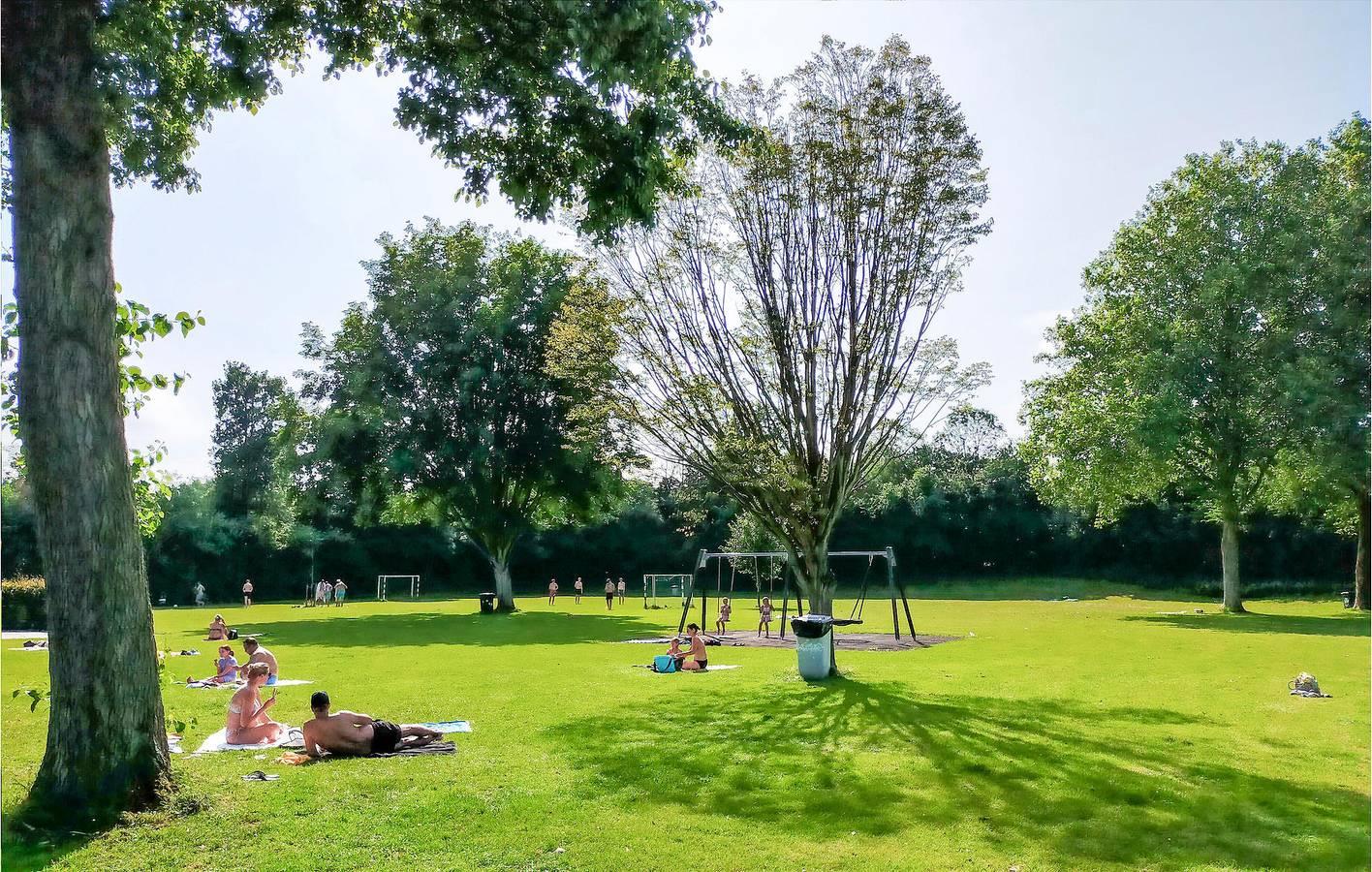 Vakantiehuis met zwembad en hond toegestaan in Nederlandse Noordzeekust, Nederland voor 8 personen foto 23