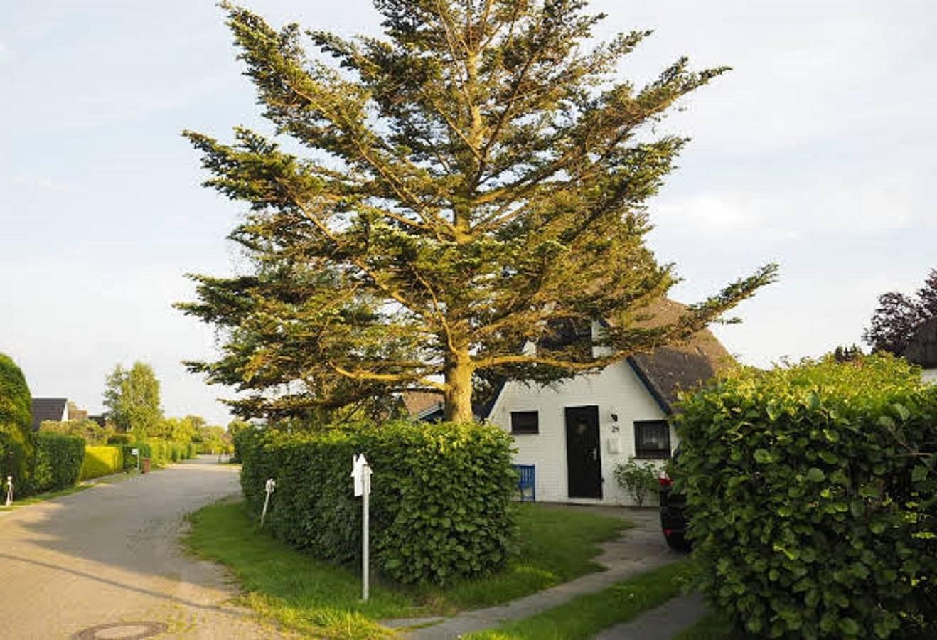 Vakantiehuis in Weser-Ems vanaf 91€ per nacht