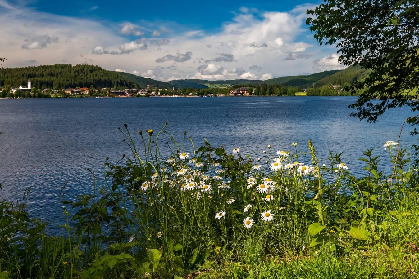 Vakantieappartement met balkon in Schluchsee, Zuidelijk Zwarte Woud, Duitsland voor 4 personen foto 19