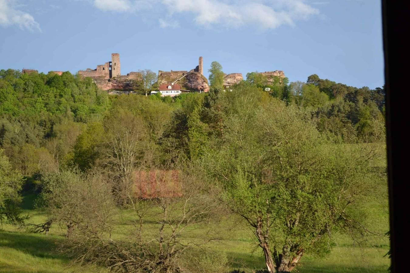 Vakantieappartement in Dahn, Duitsland voor 7 personen foto 5