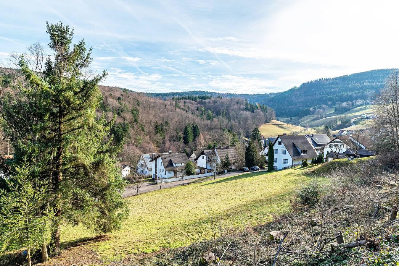 Appartement 'Schumacher' met balkon en Wi-Fi in Bad Herrenalb, Noordelijk Zwarte Woud, Duitsland voor 5 personen foto 19